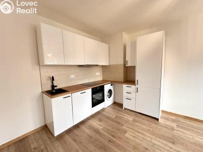 Продажа квартиры 3+KK Mladá Boleslav, Jičínská 1036 č. 1