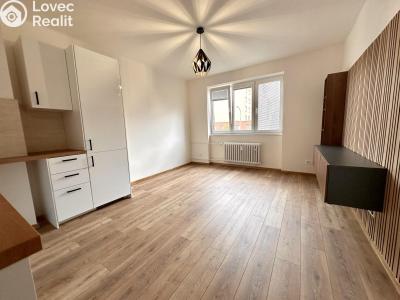 Продажа квартиры 3+KK Mladá Boleslav, Jičínská 1036 č. 3
