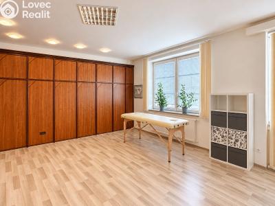 Rent office space Hradec Králové, Kollárova č. 8
