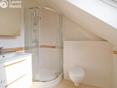 Rent apartment 2+1 Líně, Plzeňská 156 č. 3