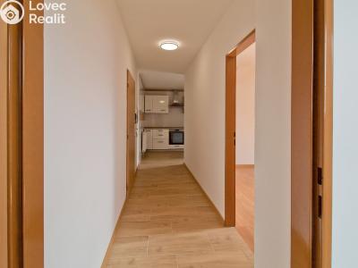 Rent apartment 2+1 Líně, Plzeňská 156 č. 8