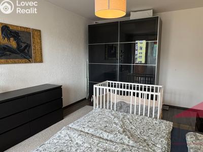 Sale apartment 2+1 Sušice, Scheinostova 970 č. 19