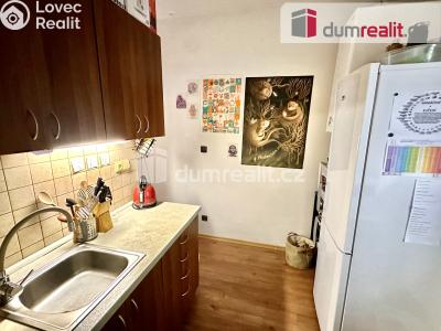 Pronájem bytu 1+1 Ústí nad Labem, Stará č. 7