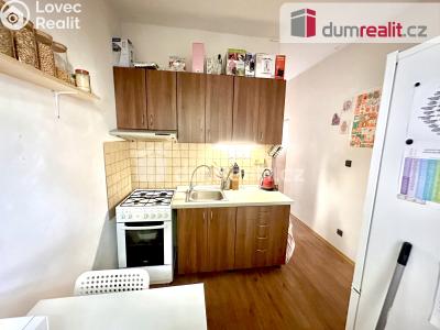 Pronájem bytu 1+1 Ústí nad Labem, Stará č. 11