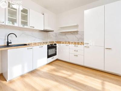 Pronájem bytu 2+1 Most, Josefa Skupy č. 4