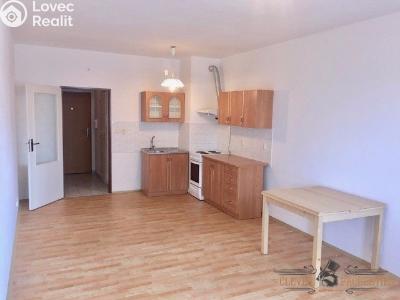 Pronájem bytu 1+KK Hradec Králové, Štefánikova č. 4
