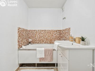 Продажа квартиры 3+1 Beroun, Havlíčkova 100 č. 10