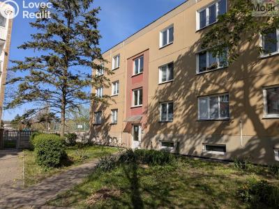 Prodej bytu 2+1 Bílina, M. Švabinského 602 č. 1