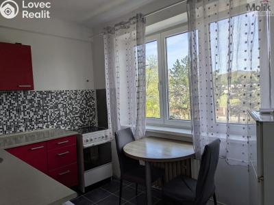 Prodej bytu 2+1 Bílina, M. Švabinského 602 č. 4