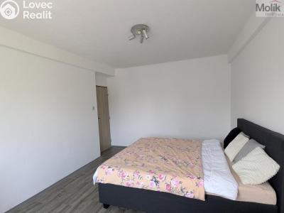 Prodej bytu 2+1 Bílina, M. Švabinského 602 č. 12