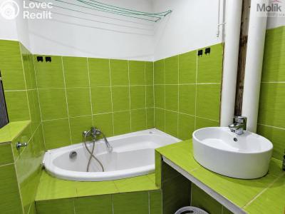 Prodej bytu 2+1 Bílina, M. Švabinského 602 č. 14