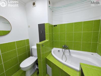 Prodej bytu 2+1 Bílina, M. Švabinského 602 č. 15