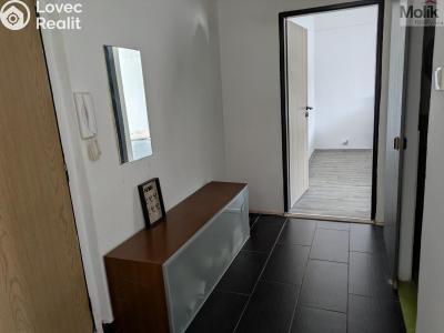 Prodej bytu 2+1 Bílina, M. Švabinského 602 č. 16