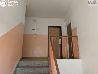 Prodej bytu 2+1 Bílina, M. Švabinského 602 č. 18