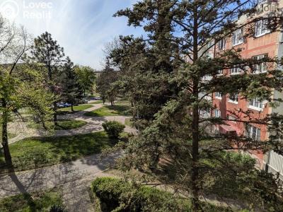 Prodej bytu 2+1 Bílina, M. Švabinského 602 č. 20