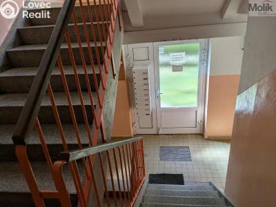 Prodej bytu 2+1 Bílina, M. Švabinského 602 č. 22
