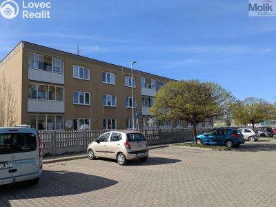Prodej bytu 2+1 Bílina, M. Švabinského 602 č. 28