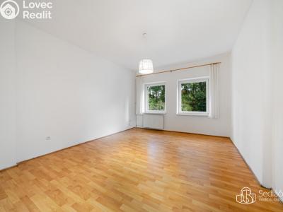 Продажа многогенного дом Svatava, Pobřežní č. 8