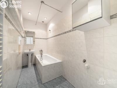 Продажа многогенного дом Svatava, Pobřežní č. 10