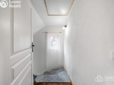 Продажа многогенного дом Svatava, Pobřežní č. 12