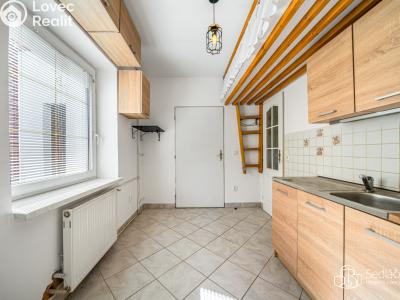Продажа многогенного дом Svatava, Pobřežní č. 13