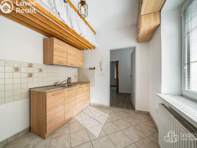 Продажа многогенного дом Svatava, Pobřežní č. 14