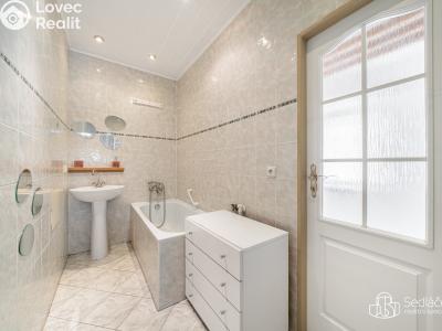 Продажа многогенного дом Svatava, Pobřežní č. 15
