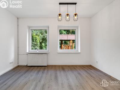 Продажа многогенного дом Svatava, Pobřežní č. 17