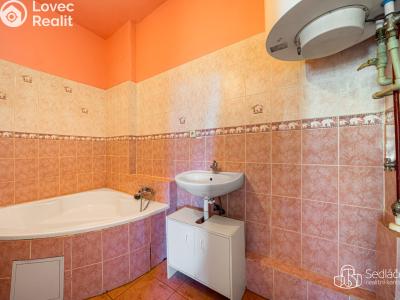 Продажа многогенного дом Svatava, Pobřežní č. 25