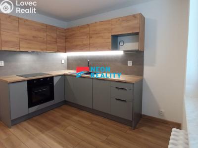 Оренда квартири 1+1 Orlová, Masarykova třída č. 10
