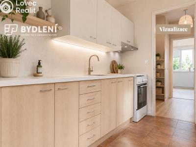 Prodej bytu 3+1 Ústí nad Labem, Příkopy č. 14