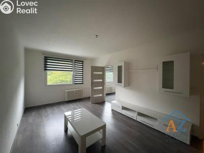 Pronájem bytu 2+1 Chomutov, 17. listopadu 4613 č. 2
