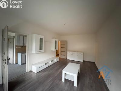 Pronájem bytu 2+1 Chomutov, 17. listopadu 4613 č. 3