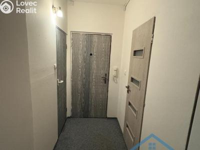 Pronájem bytu 2+1 Chomutov, 17. listopadu 4613 č. 9