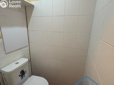 Pronájem bytu 2+1 Chomutov, 17. listopadu 4613 č. 14