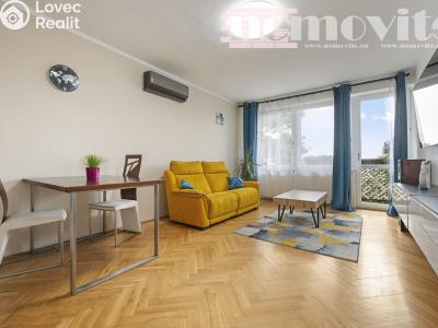 Sale apartment 3+1 Hradec Králové, U Střelnice č. 2