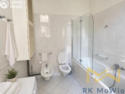 Rent apartment 4+KK Praha, Truhlářská č. 7