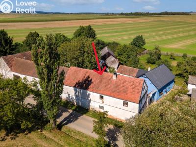 Sale family house Kožlany č. 29