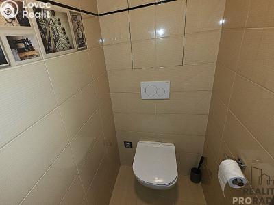 Pronájem bytu 2+KK Brno, Křenová č. 12