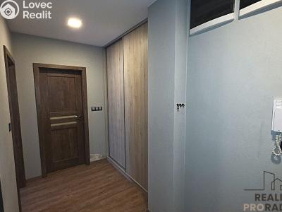 Pronájem bytu 2+KK Brno, Křenová č. 14