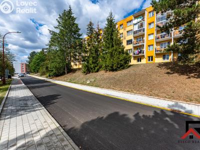 Sale apartment 2+1 Třebíč, Lidická č. 2