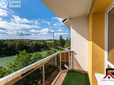 Sale apartment 2+1 Třebíč, Lidická č. 14