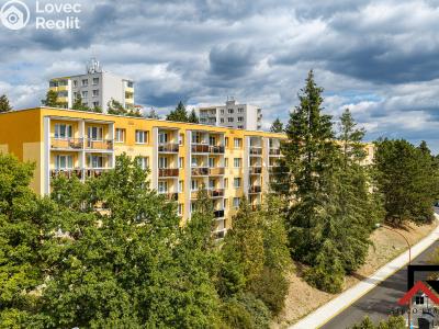 Sale apartment 2+1 Třebíč, Lidická č. 22