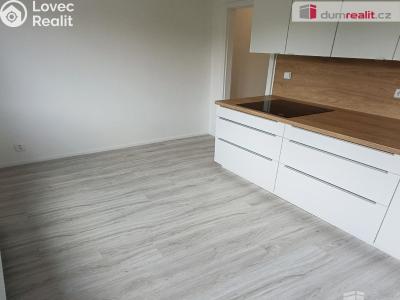 Pronájem bytu 2+1 Benešov nad Ploučnicí, Sídliště č. 4
