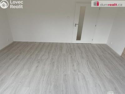 Pronájem bytu 2+1 Benešov nad Ploučnicí, Sídliště č. 11