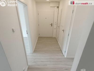 Pronájem bytu 2+1 Benešov nad Ploučnicí, Sídliště č. 13