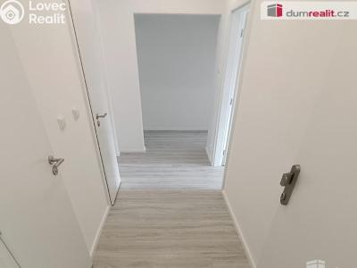 Pronájem bytu 2+1 Benešov nad Ploučnicí, Sídliště č. 14