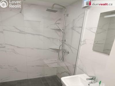 Pronájem bytu 2+1 Benešov nad Ploučnicí, Sídliště č. 16