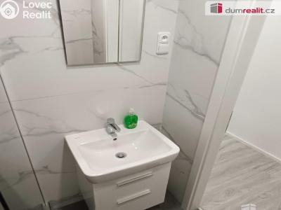 Pronájem bytu 2+1 Benešov nad Ploučnicí, Sídliště č. 17