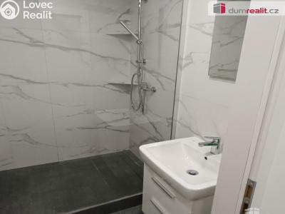 Pronájem bytu 2+1 Benešov nad Ploučnicí, Sídliště č. 18